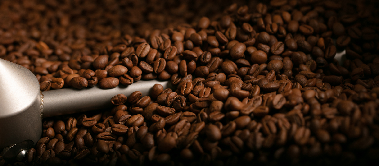 blended coffee beans