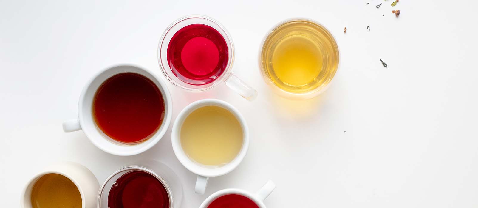 choose your tea - tea guide