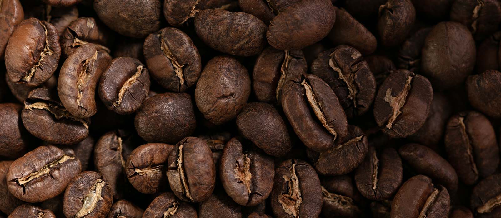 robusta coffee origin